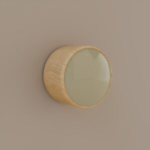HA-NOOK 1